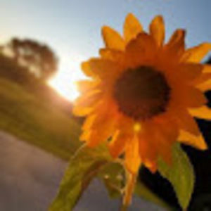 Meet your Posher, Lexie